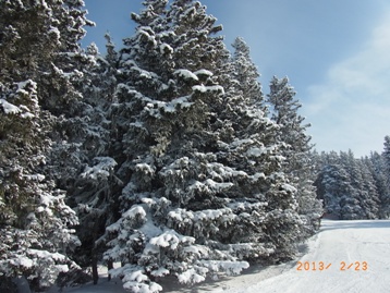 e0195766_23141592.jpg