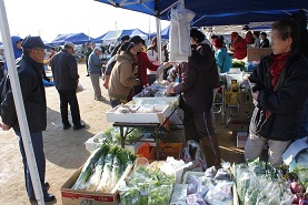 e0175370_14373.jpg