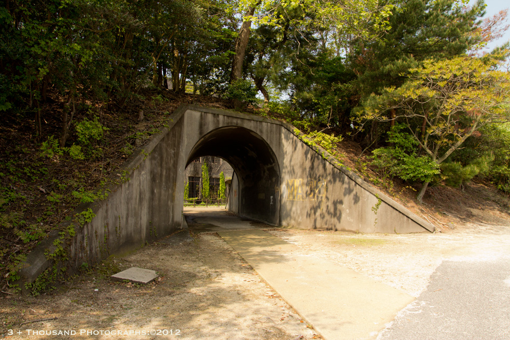 大久野島・アーカイブ_a0259279_1949534.jpg