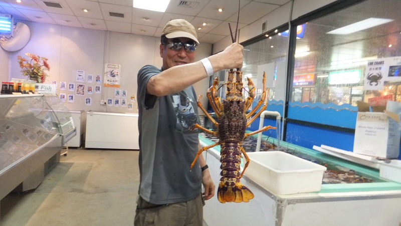 ニュージランド紀行(前篇)_b0238789_82667.jpg