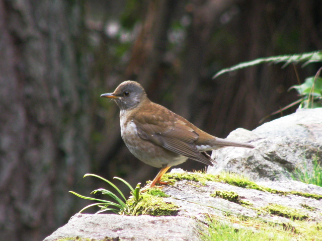 a0206496_7274158.jpg