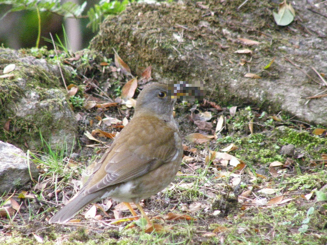 a0206496_7285073.jpg