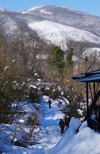 お友達と雪遊び_f0106597_126196.jpg