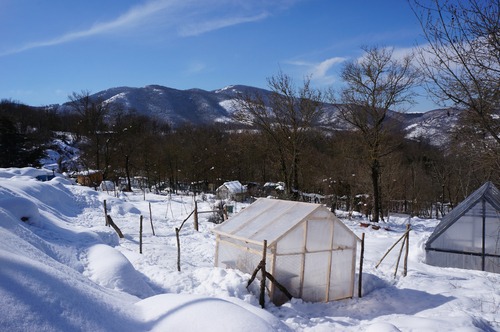 お友達と雪遊び_f0106597_1335486.jpg