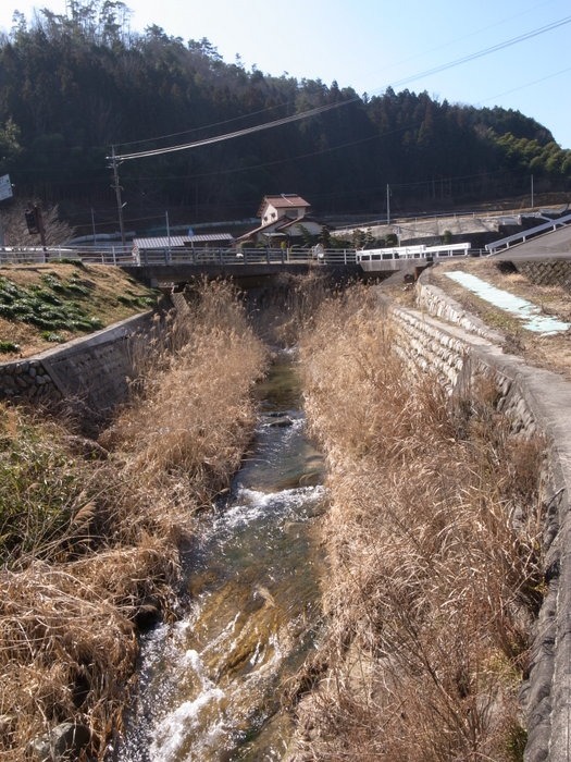 快晴の中、撮った風景_c0116915_23152533.jpg