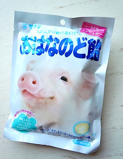 かわいいはなのど飴と 世界の花粉症事情 こんなことが あったよ