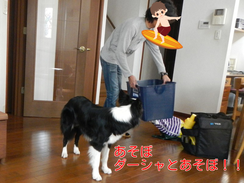 a0232619_16513551.png