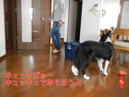 a0232619_16515213.png
