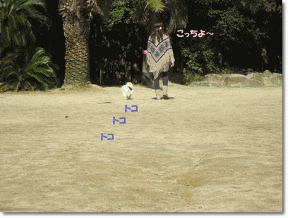 b0167519_23284552.gif