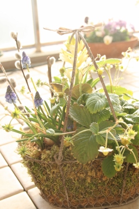 c0149120_16191441.jpg