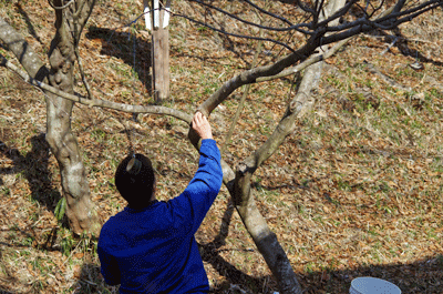 f0232920_17455280.gif