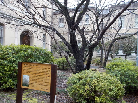 f0111128_115359.jpg