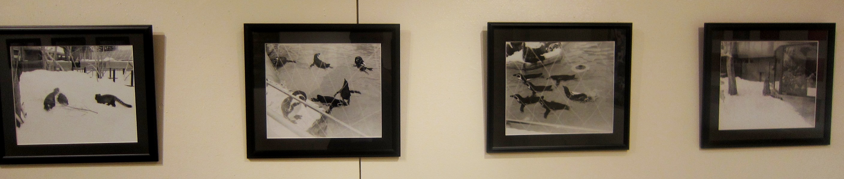 1946)「札幌大谷大学写真部 写真展」 アイボリー　 2月19日（木）～2月24日（日） _f0126829_10523635.jpg