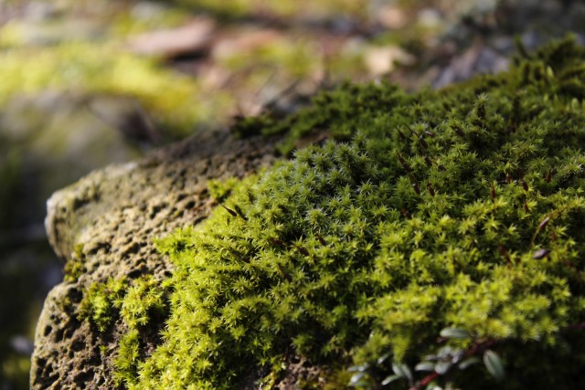 b0132338_17454795.jpg