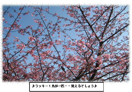 e0255638_2161280.png