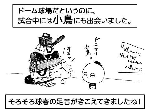 2月27日(水)　WBC強化試合【阪神●2-3キューバ】(京セラ)_f0105741_12533865.jpg