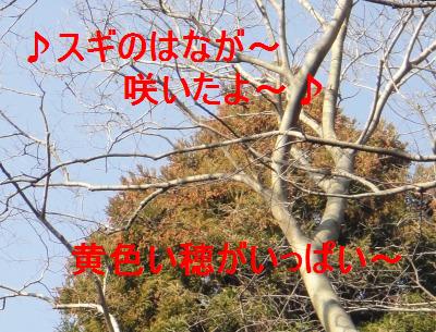 あなたの愛犬は体のどこを触ってもOKですか・・・ダメデシタ_e0195743_16251151.jpg