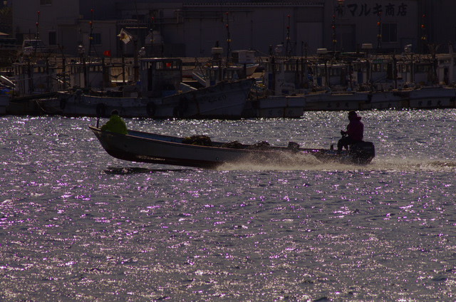 今は釣り人ばかり？：篠島　南知多町_d0186245_14303022.jpg