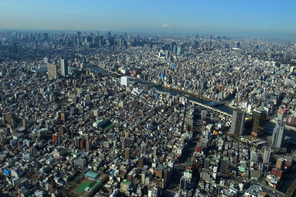 e0009147_99354.jpg