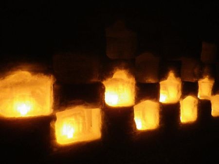 自然の恵みを生かさなきゃMOTTAINAI!!山形月山志津温泉の取り組み_e0105047_1229193.jpg