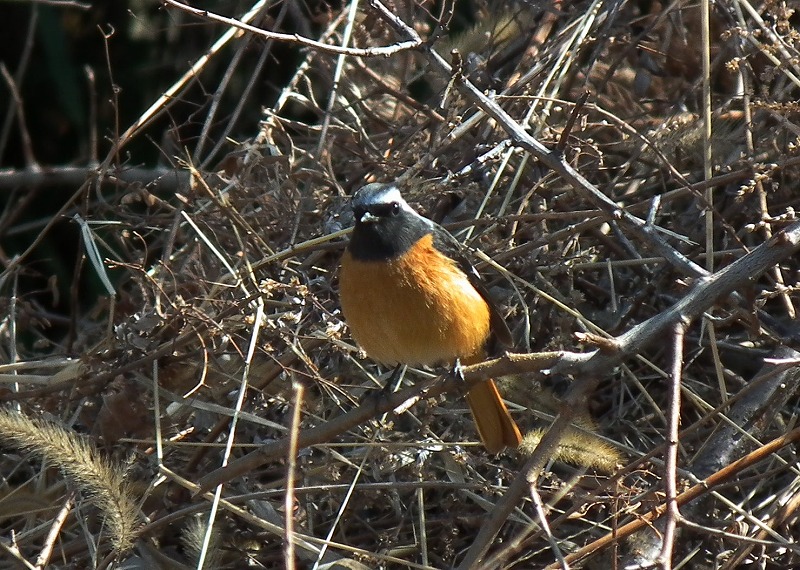 a0018655_2115453.jpg