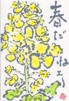 菜の花「春だね～」_b0124466_9523465.jpg