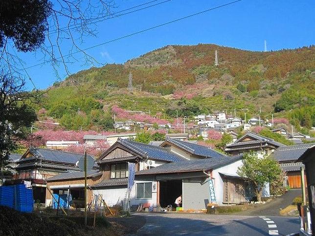 2013.2.27 蟠蛇森（ばんだがもり）『高知県』_c0219866_10887.jpg