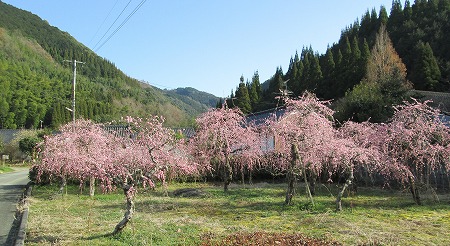 f0067067_20585610.jpg