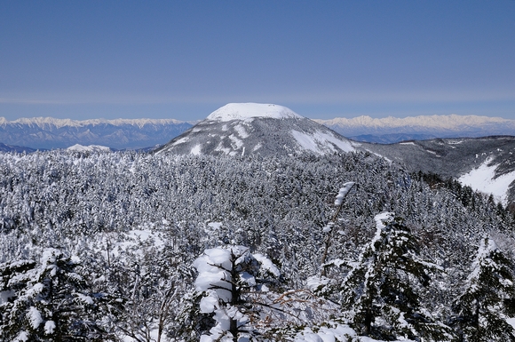f0238475_14249.jpg