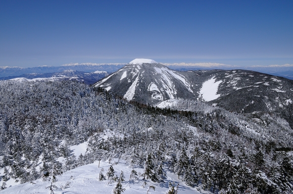 f0238475_16163.jpg