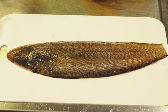 やっぱりあった くっぞこ に いそぎんちゃく Fooding Diary やっぱりあった くっぞこ に いそぎんちゃく Fooding Diary