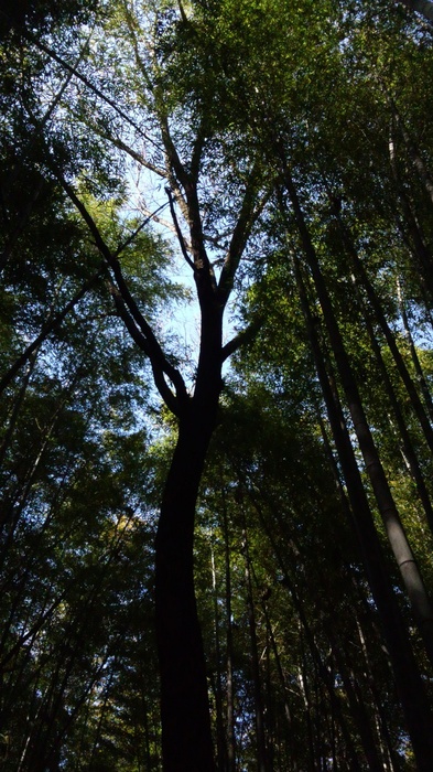 c0135480_21461446.jpg