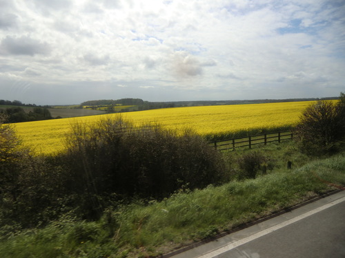 b0214184_17191741.jpg