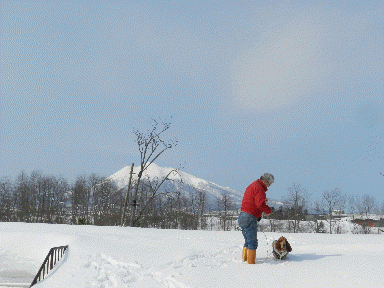 f0205887_162147100.gif