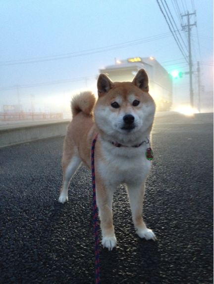 おはよう!_a0126590_6463753.jpg