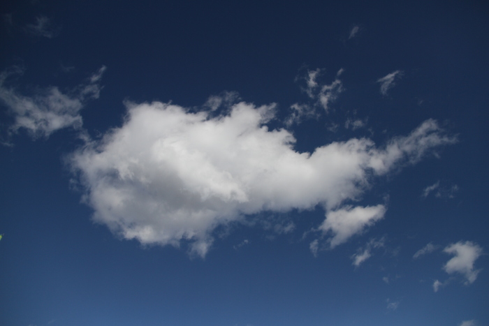 カメラかじってる芸人 Ff Tommy S Photo Walk