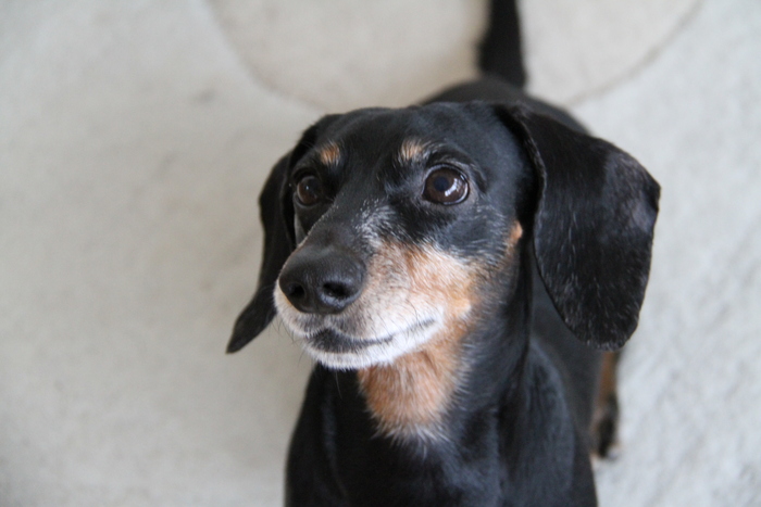 カメラかじってる芸人 Ff Tommy S Photo Walk
