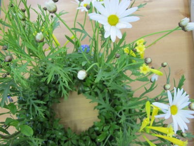 c0178009_22181539.jpg