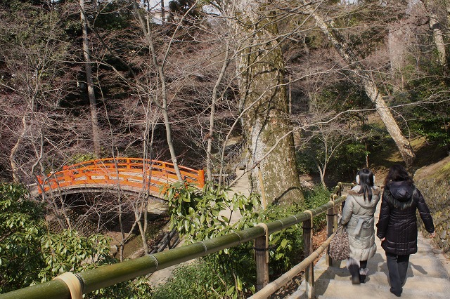 京の旅　北野天満宮の梅花祭　その2_d0154609_113219.jpg