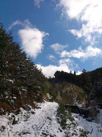 e0032609_18501223.jpg