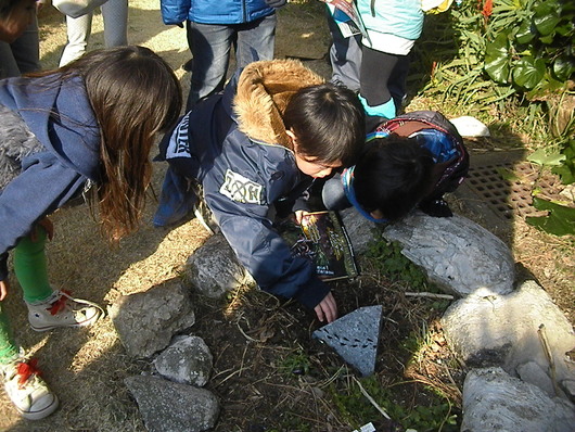 春一番_d0106911_14513421.jpg