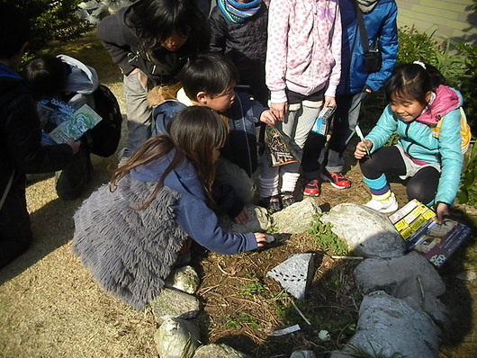 春一番_d0106911_1451673.jpg