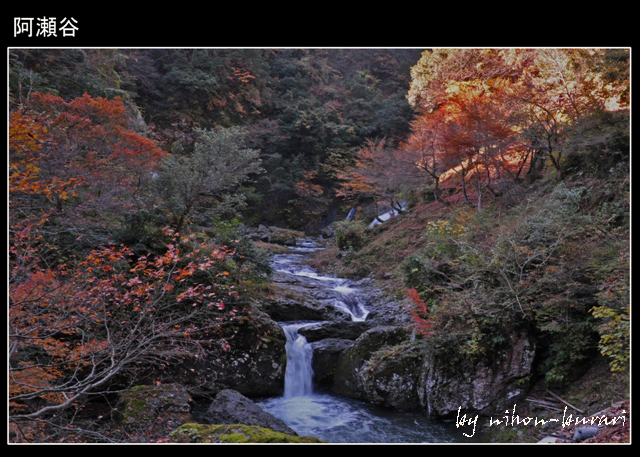 兵庫県朝来町の天空の城「竹田城跡」の朝露　2012年11月15日～16日_e0180612_11151242.jpg