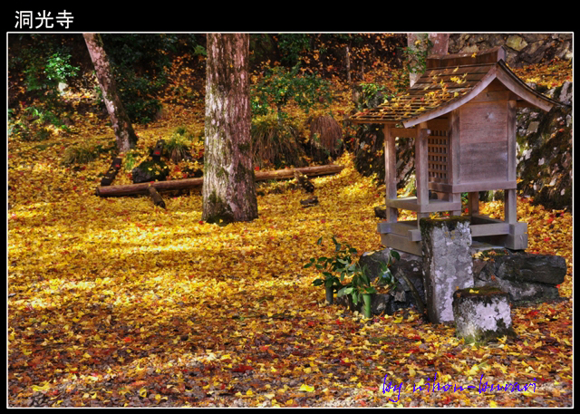 兵庫県朝来町の天空の城「竹田城跡」の朝露　2012年11月15日～16日_e0180612_119077.jpg