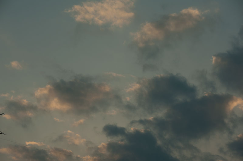a0278914_45451.jpg