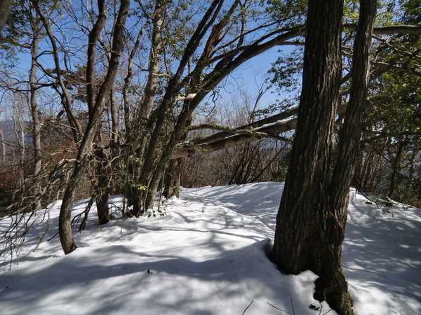 雪の釜ｹ谷山 (696.0M) に登る_d0170615_850035.jpg