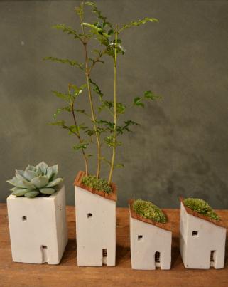 さくら盆栽展 最終入荷のご案内_d0263815_18532412.jpg