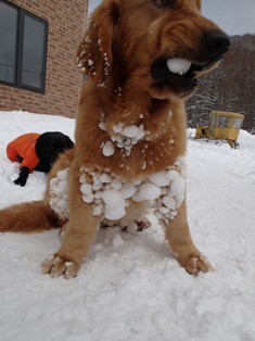 雪山へ行ってきたよ_c0240318_1334167.jpg