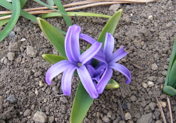 f0214527_10362080.jpg