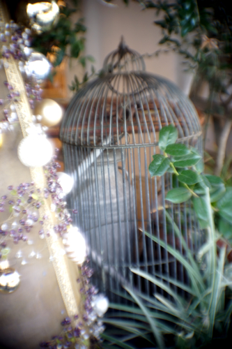 f0035343_11201139.jpg